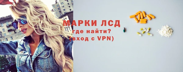 прущие грибы Богородицк