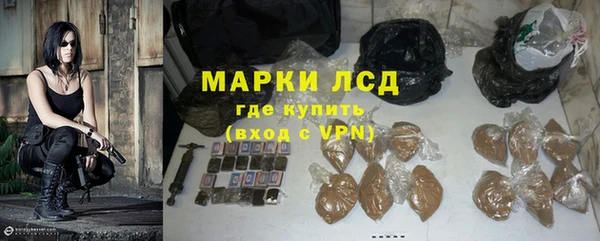 прущие грибы Богородицк
