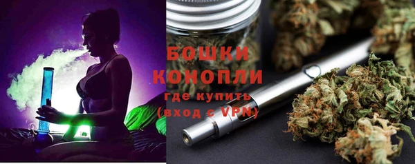 прущие грибы Богородицк